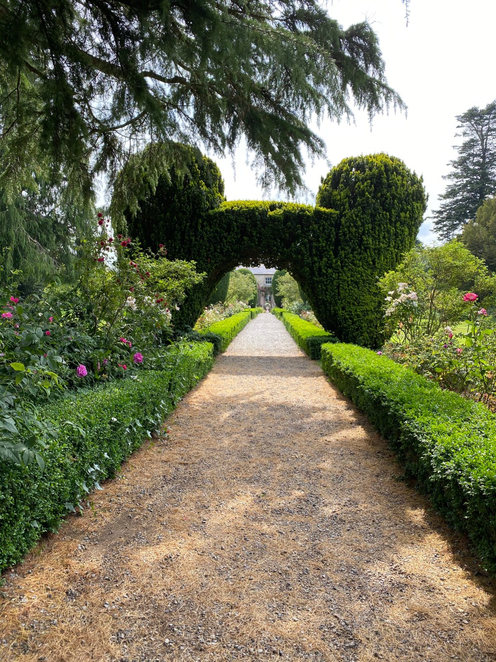 New Year’s Resolutions